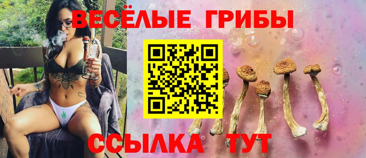 Гуково  Псилоцибиновые грибы Cubensis  Галлюциногенные грибы Psilocybe  Вход с VPN 