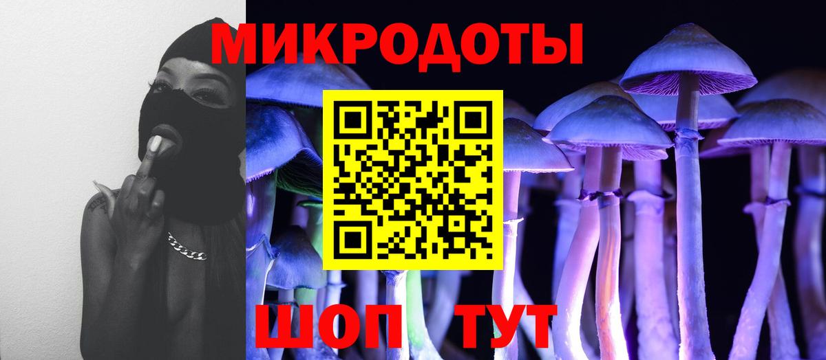 Галлюциногенные грибы Psilocybine cubensis Гуково